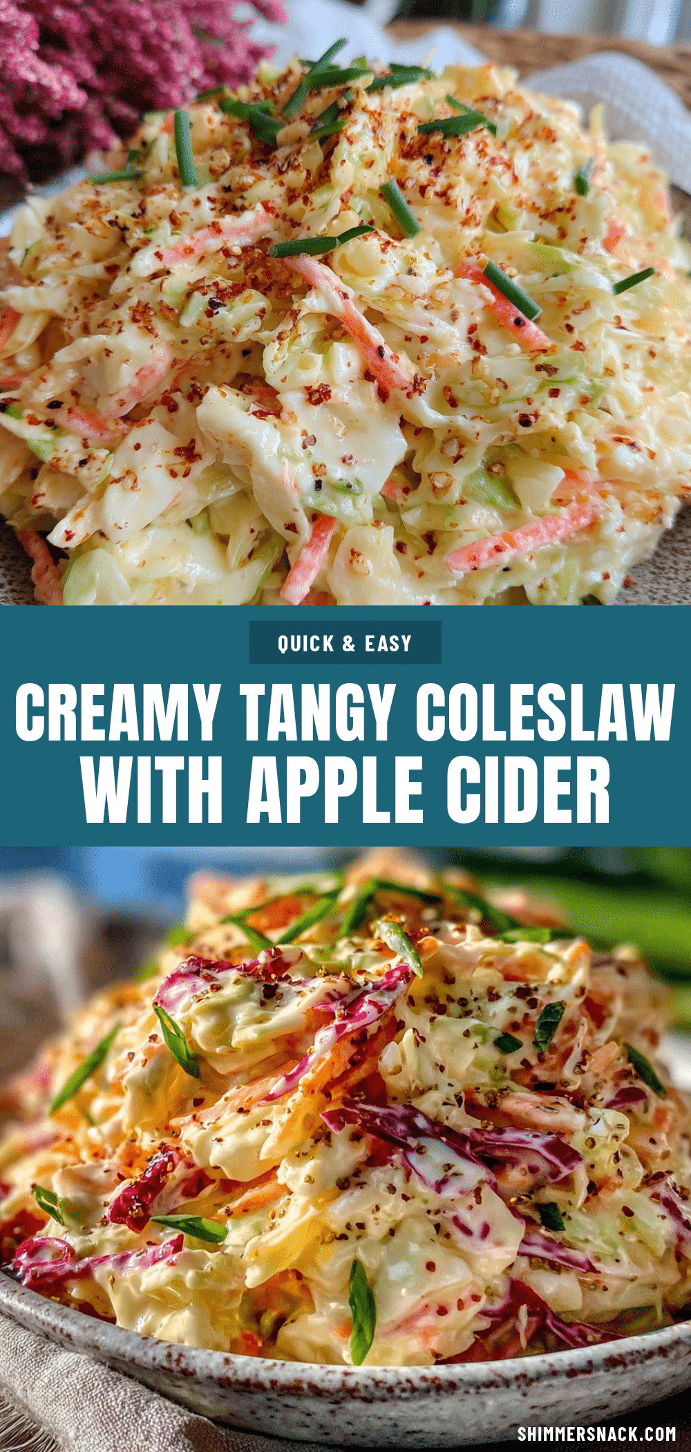 creamy coleslaw with apple cider vinegar dressing recipe