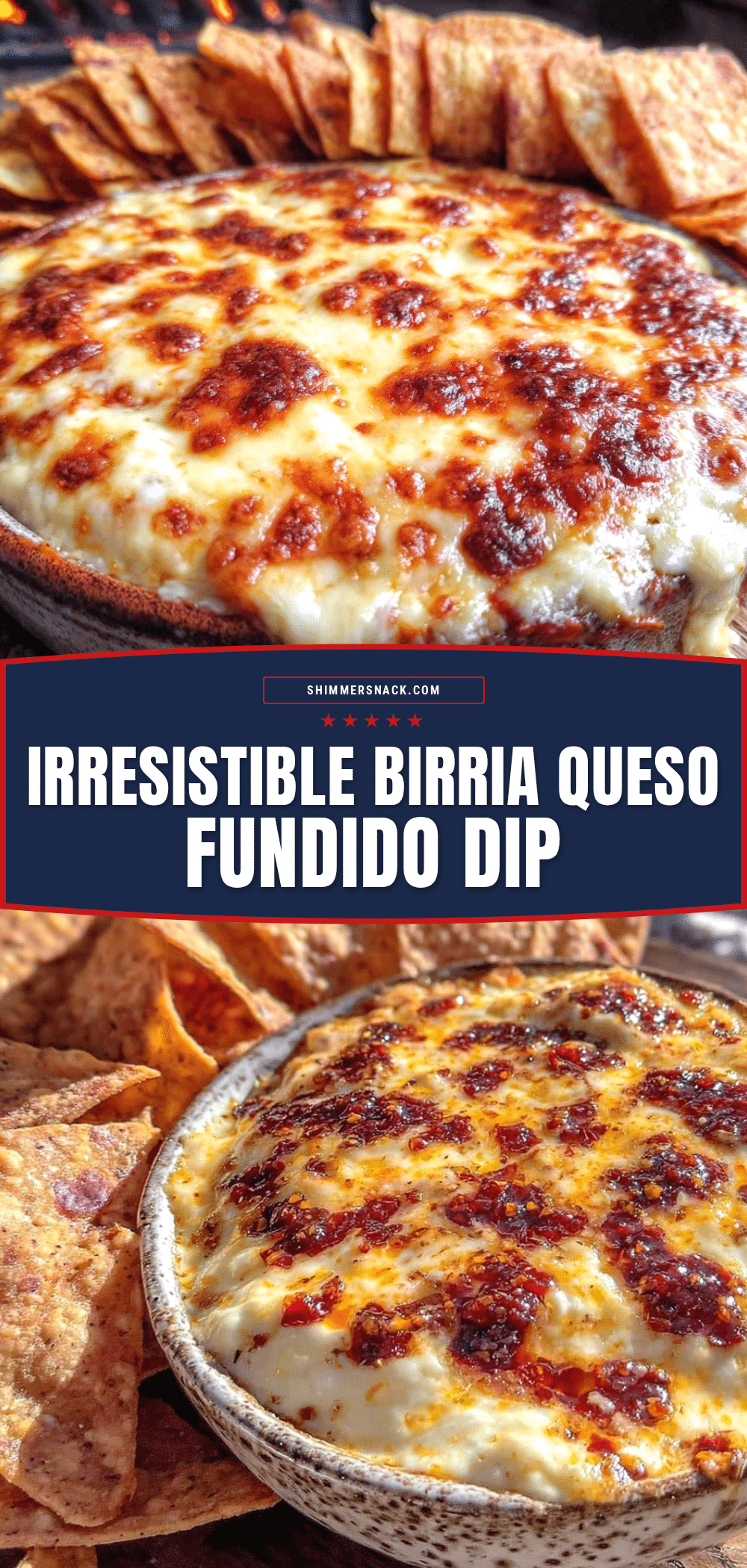 birria queso fundido dip recipe