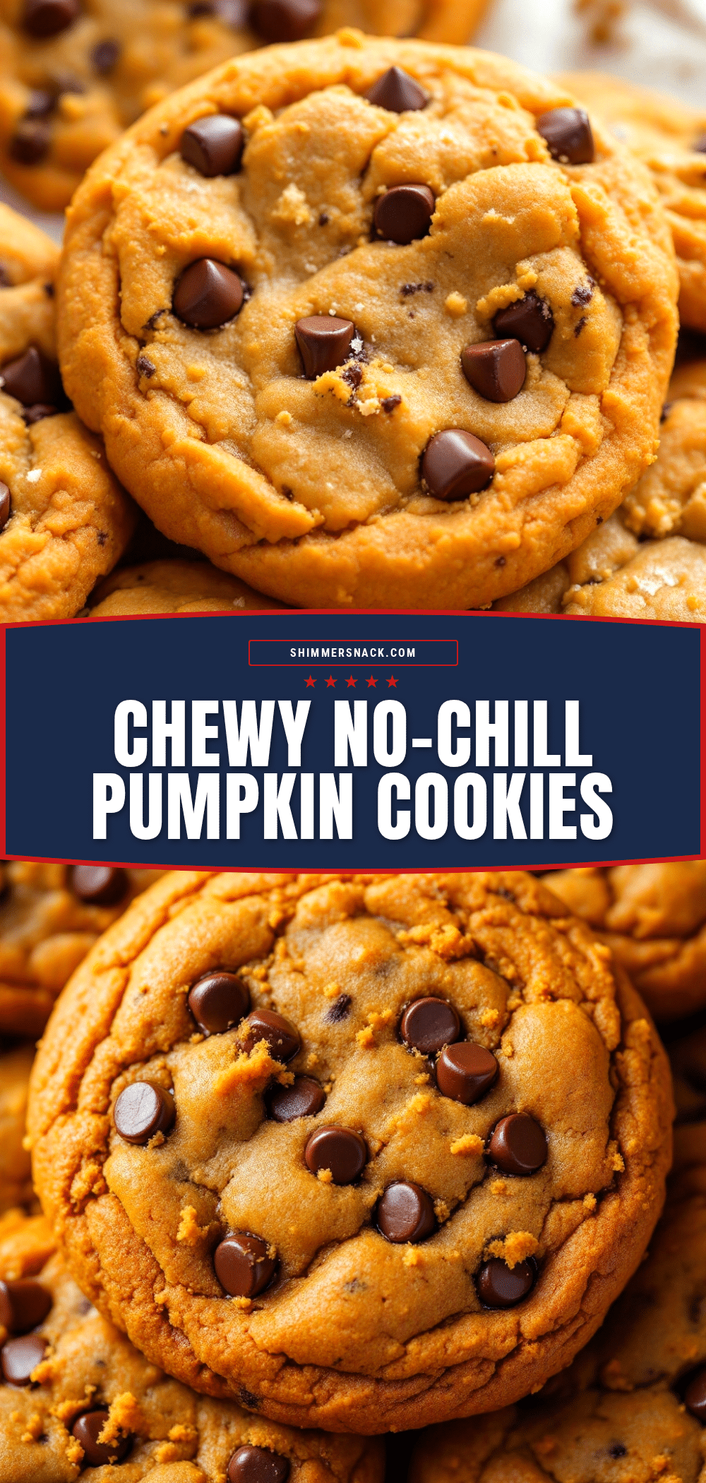 chewy pumpkin chocolate chip cookies recipe