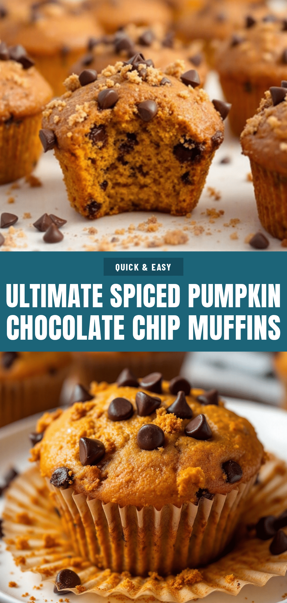 pumpkin chocolate chip muffins recipe