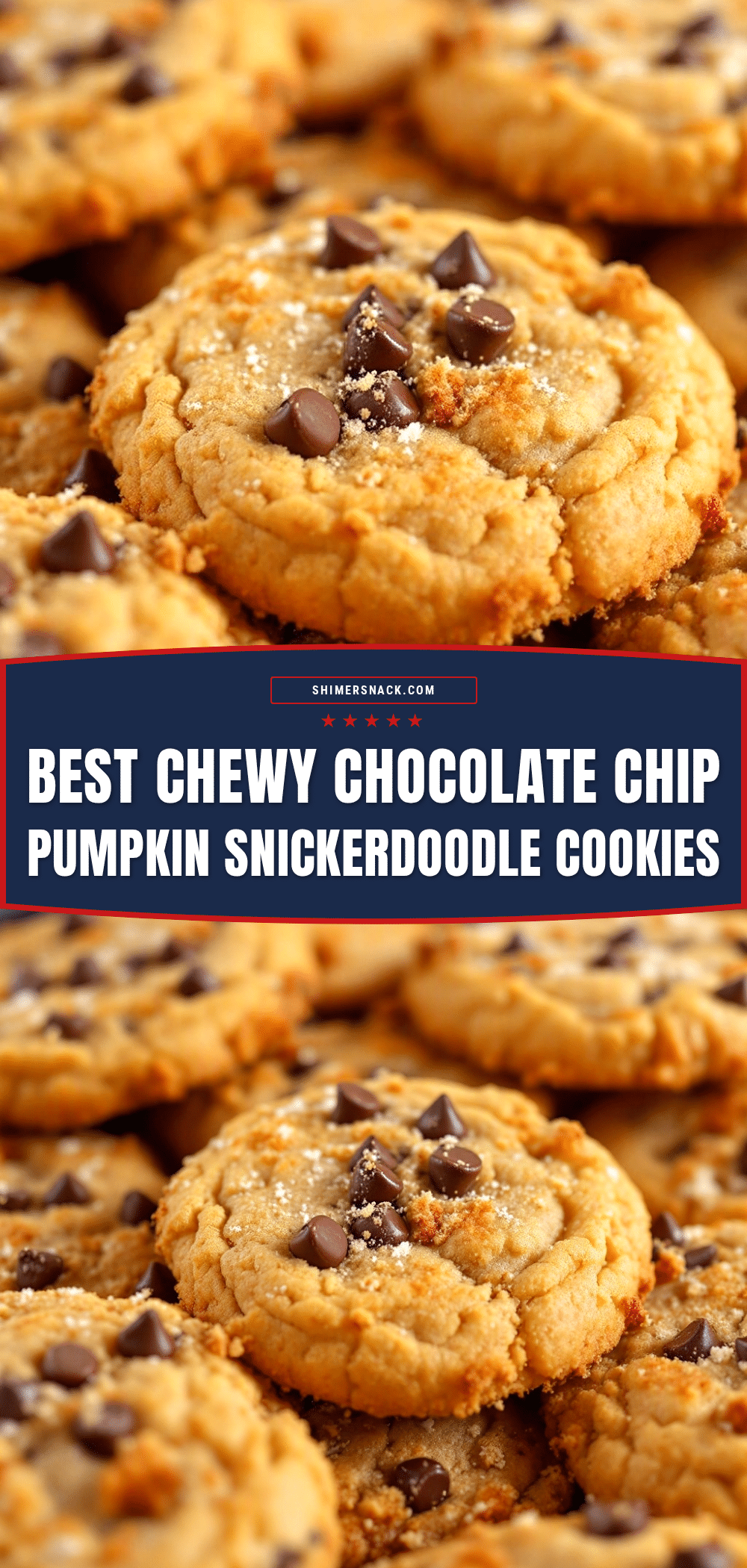 chewy chocolate chip pumpkin snickerdoodle cookies recipe